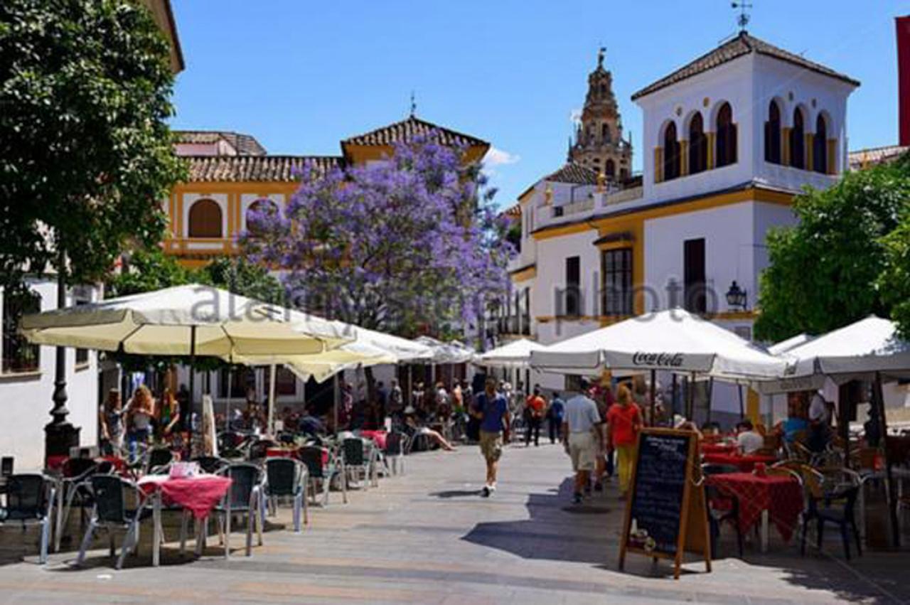 Apartamento Juderia Mezquita *