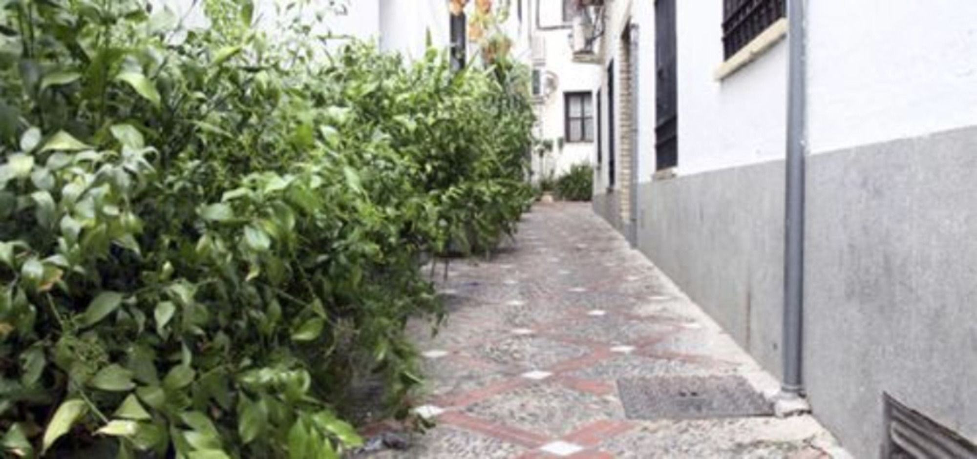 Juderia Mezquita Apartment